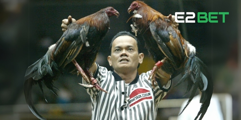 Đá gà cựa dao Tại E2BET - Cách Thắng Lớn Mỗi Lần Cược 4 Hướng dẫn đặt cược và mẹo cược đá gà cựa dao