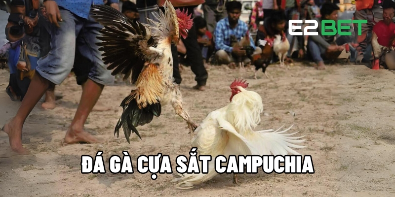 da ga cua sat campuchia 1