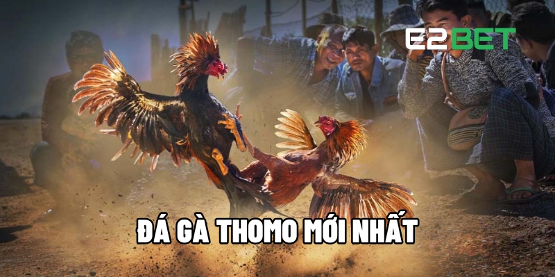 da ga thomo moi nhat 1